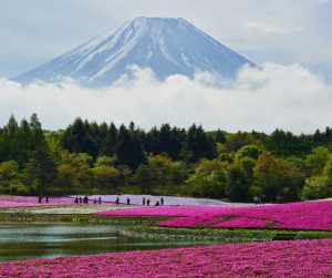 japan