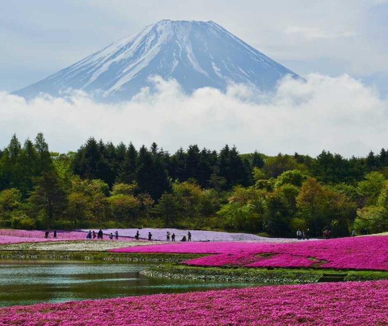 japan